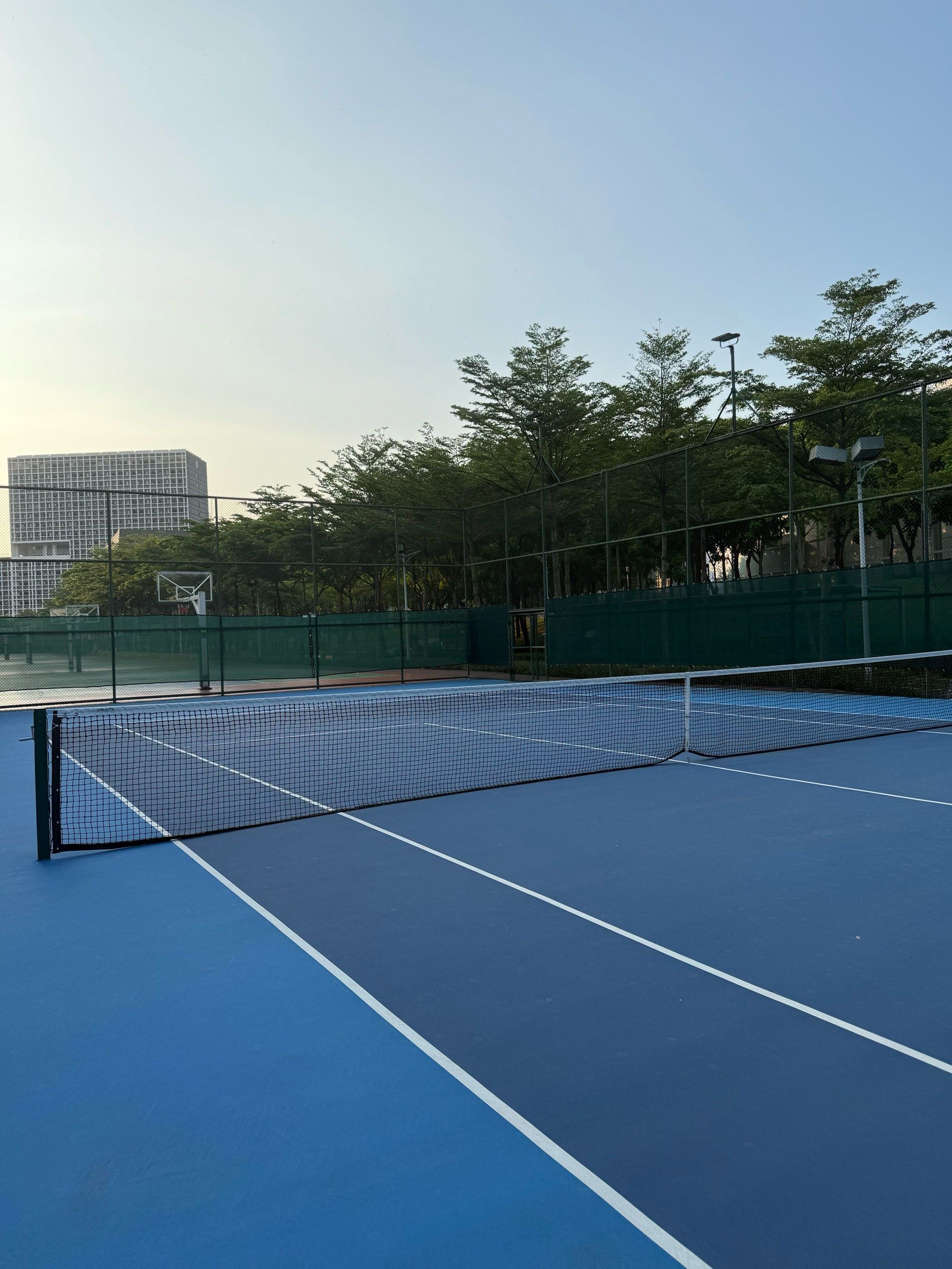 本文将深入 本文将深入